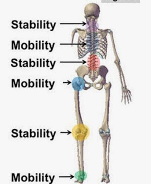 How movement analysis helps us help you