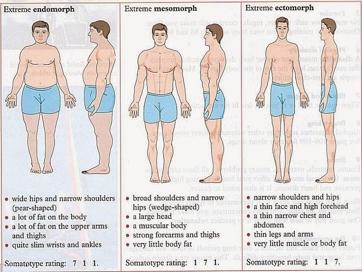 Feed Your Work out..Body Type and Sports Science